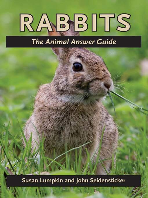 Cover image for Rabbits